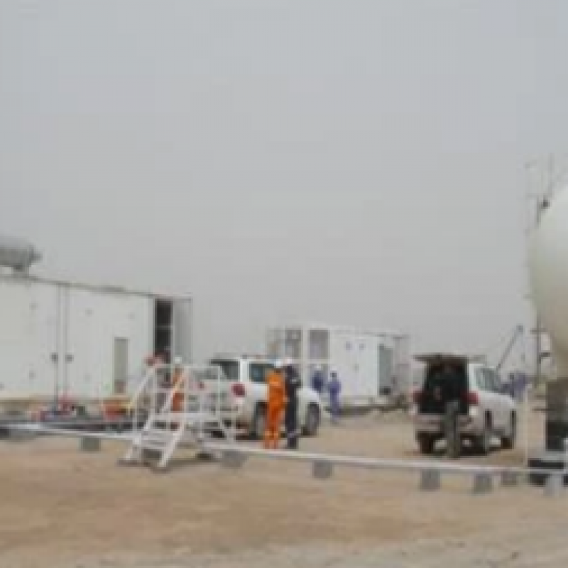 Natural gas engine