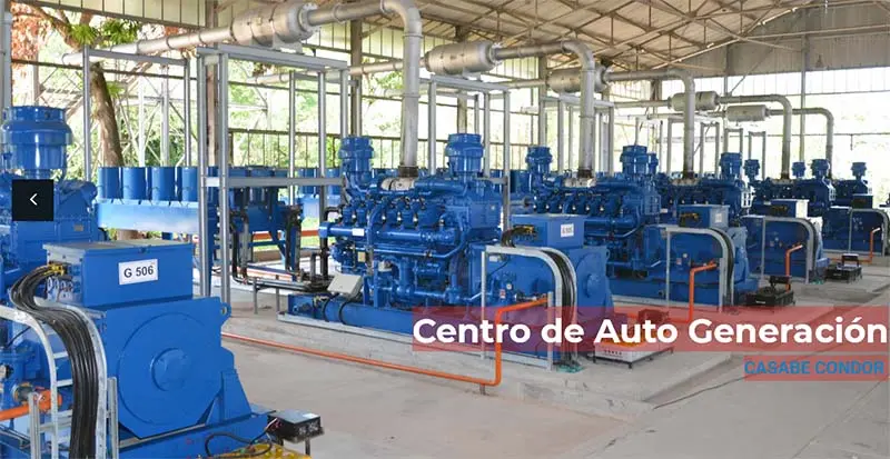 Gas Engine and Gensets.jpg