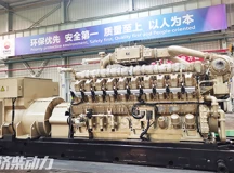 L20V200NATURAL GAS GENSET